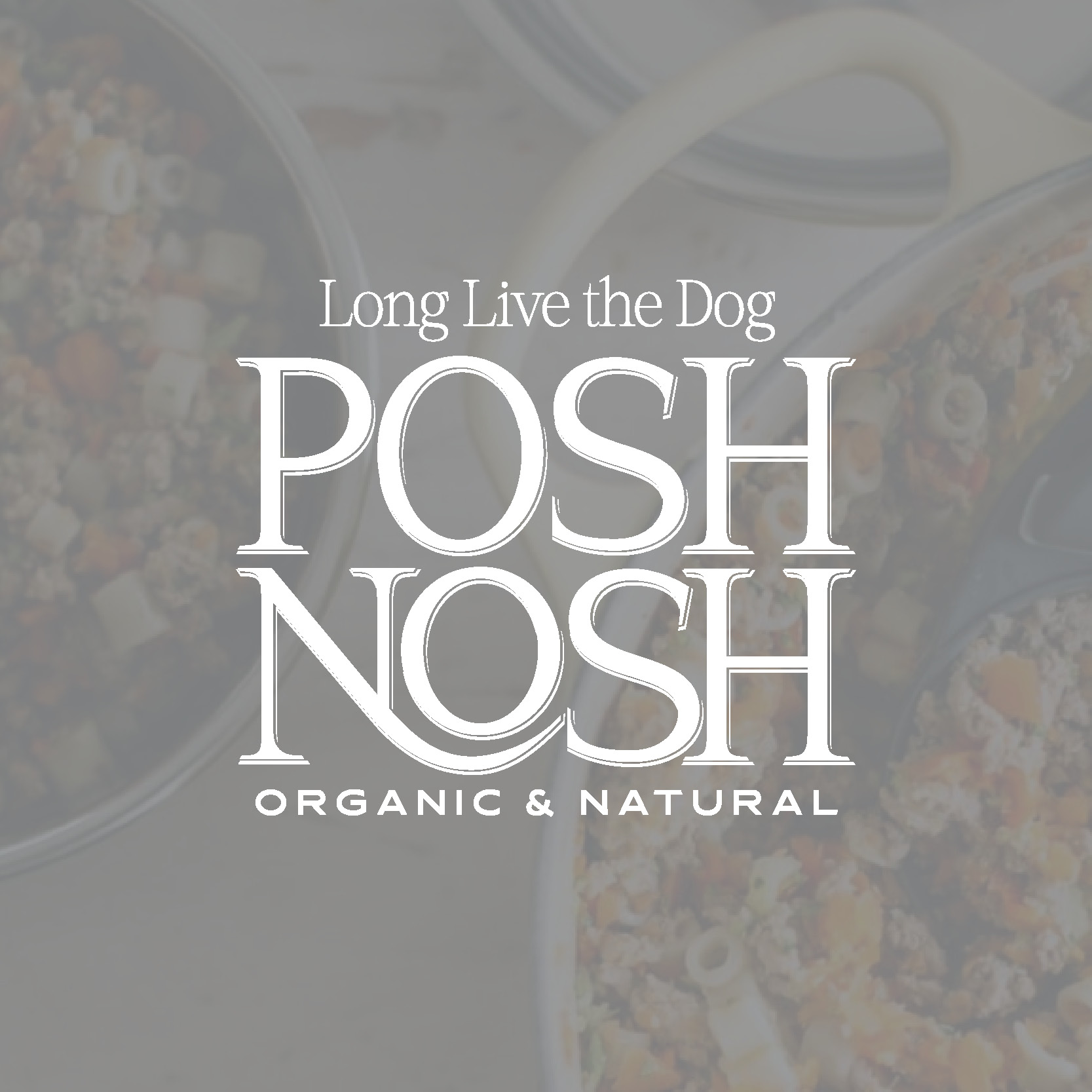 POSH NOSH LOGO
